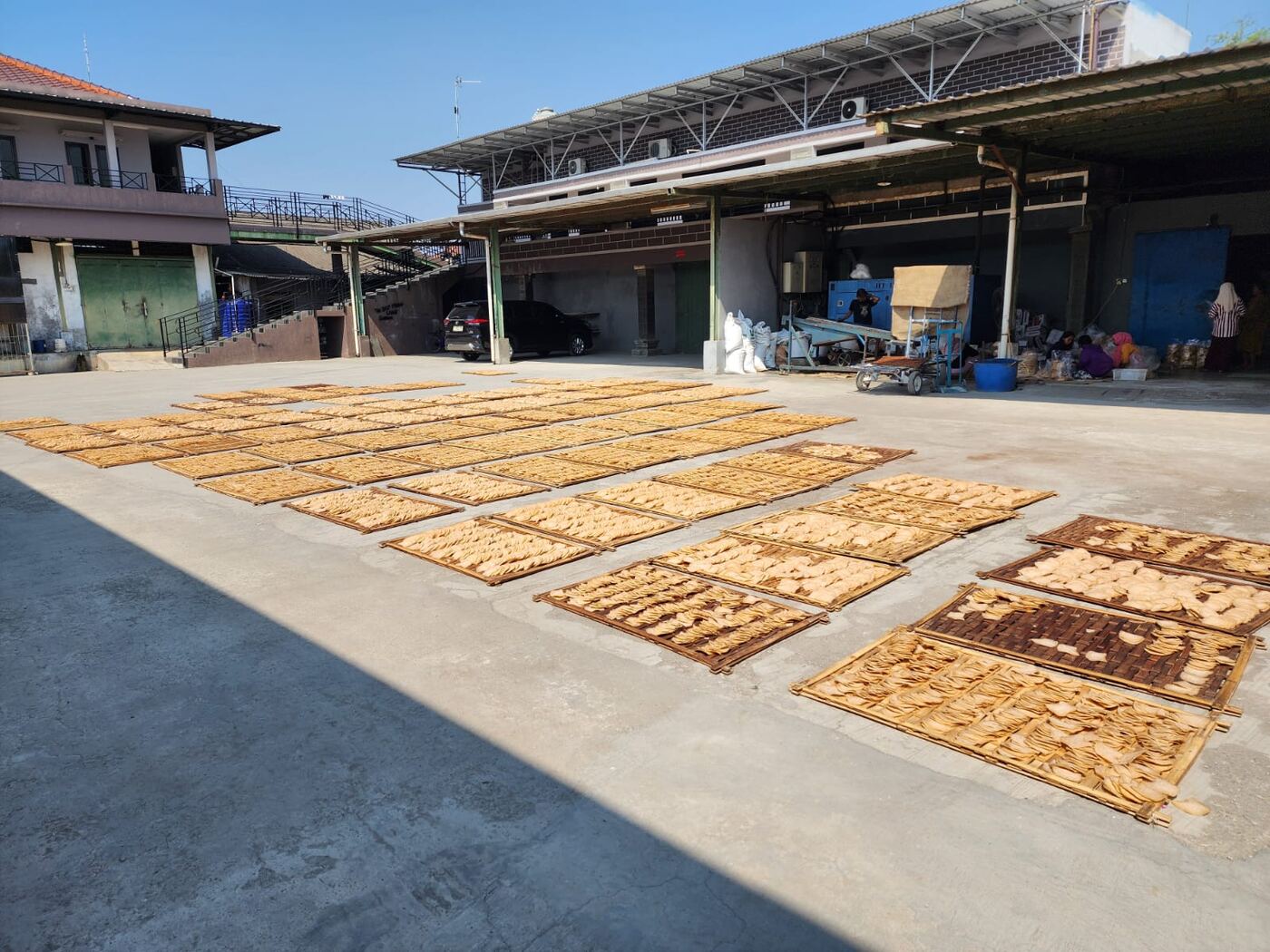 Indonesian kerupuk crackers drying in the sun at AshaFry